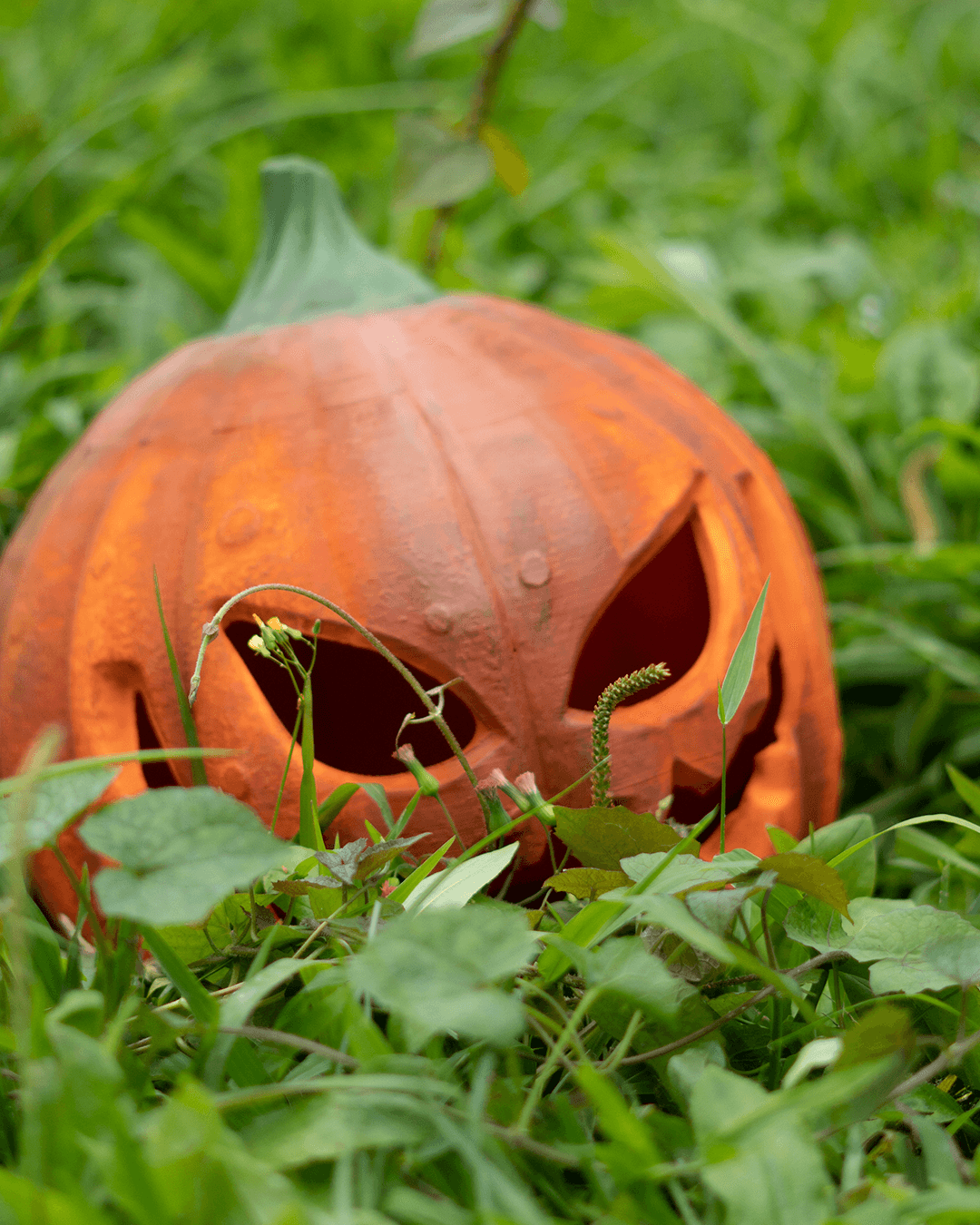 Pumpkin Helmet - Image 5