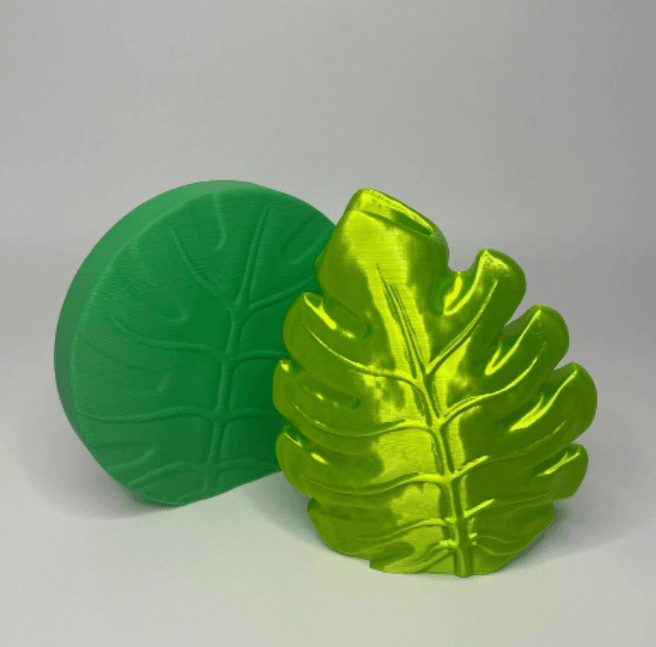 Monstera Collection - Image 2