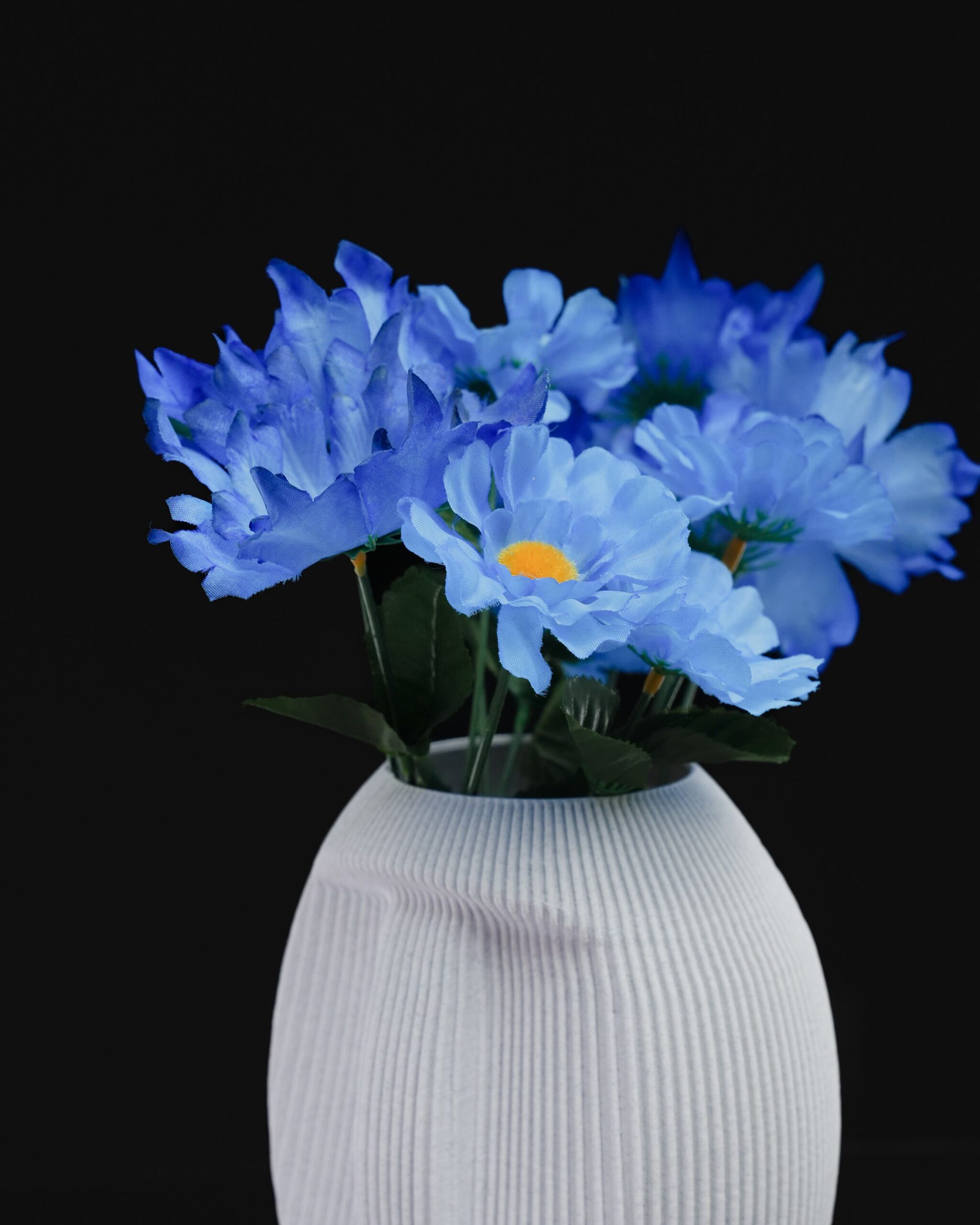 Silent Dude New - Image 6