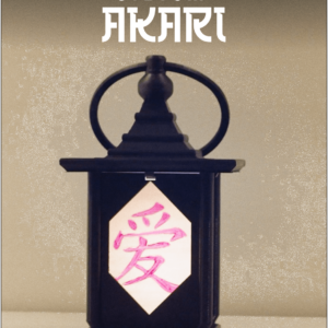 Custom Akari Sculpture (Japanese Lamp) #1