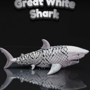 Great White Shark - Apex Predator