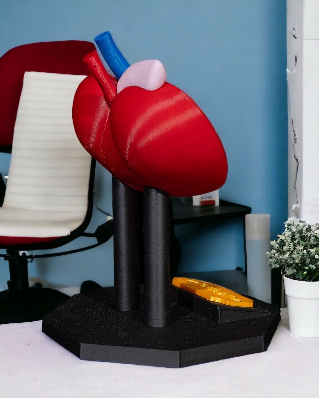 Kidney Anatomical Model - Image 5