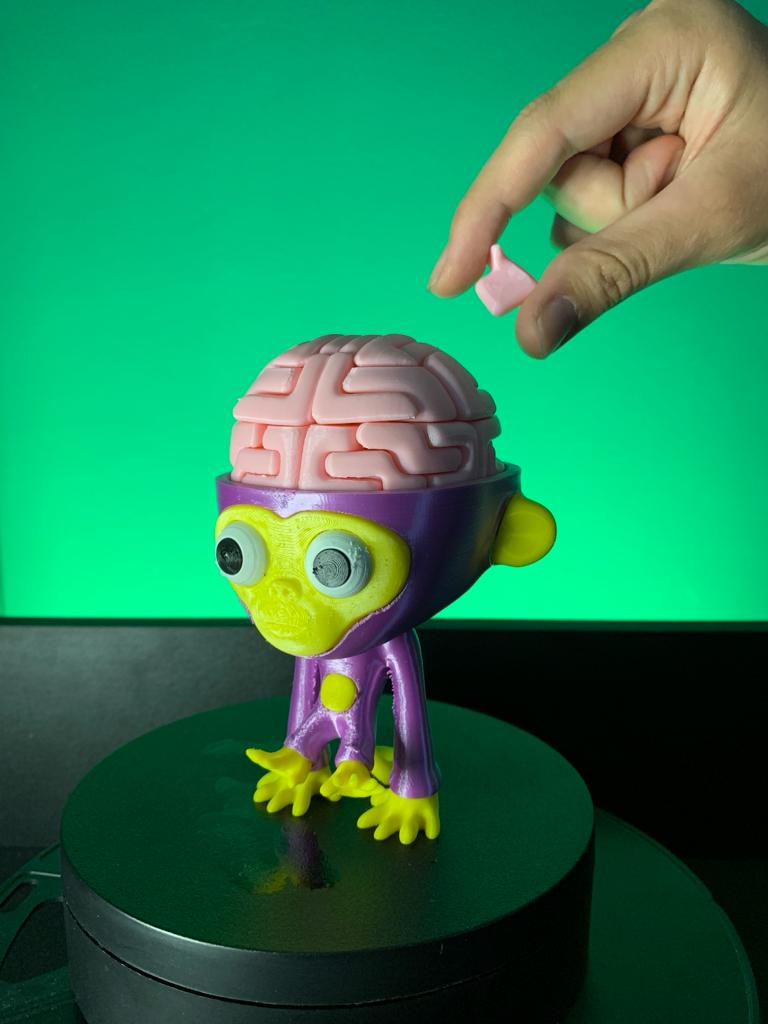 Brainy the Monkey Puzzle - Image 2