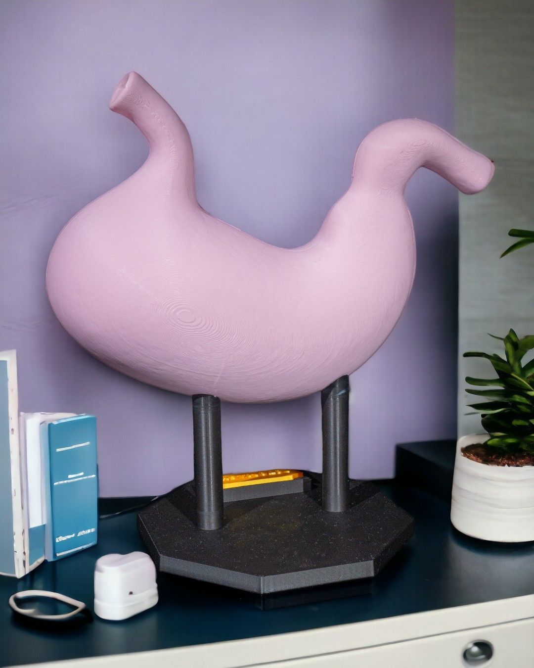 Stomach Anatomical Model - Image 3