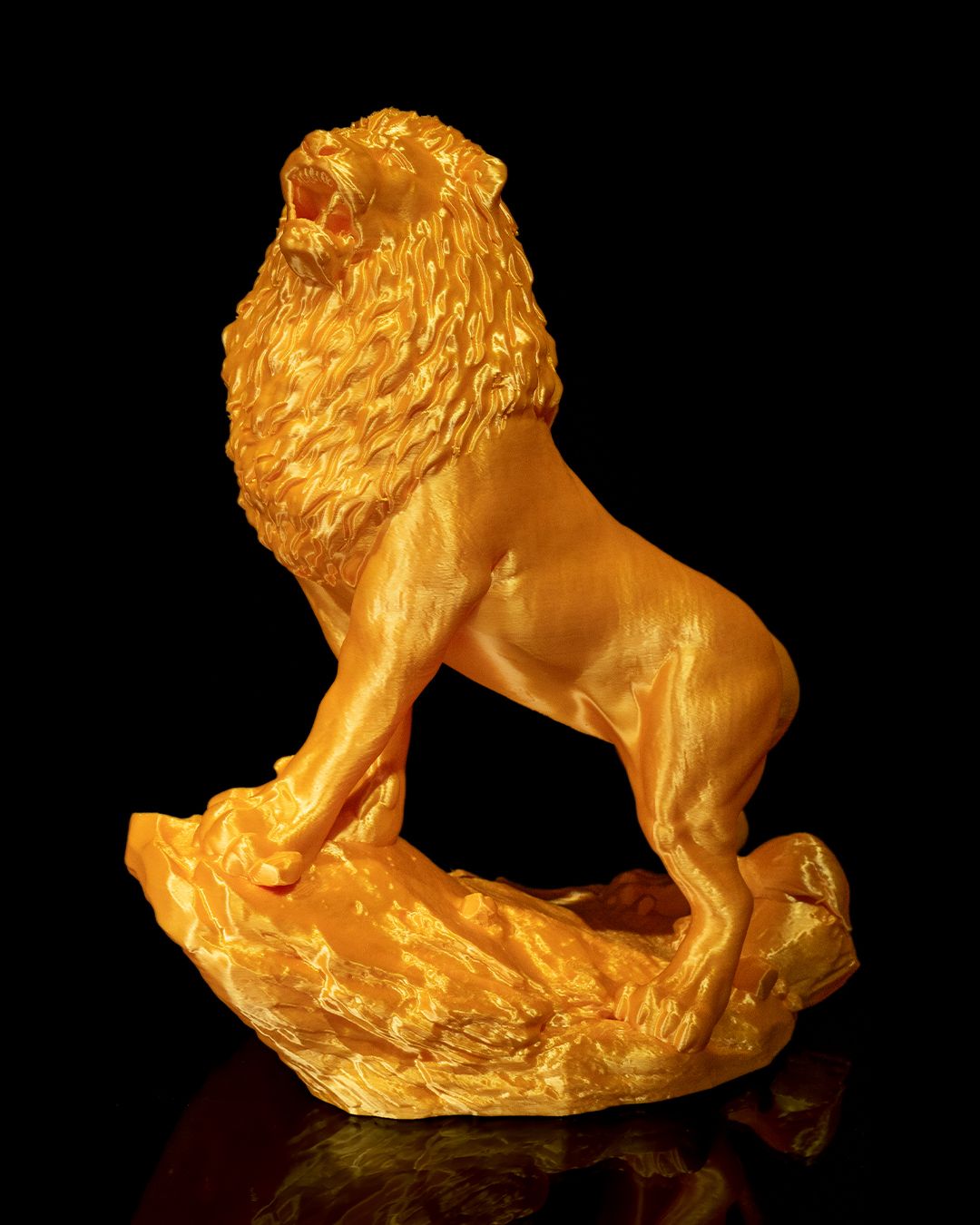 Asiatic Lion - Image 2
