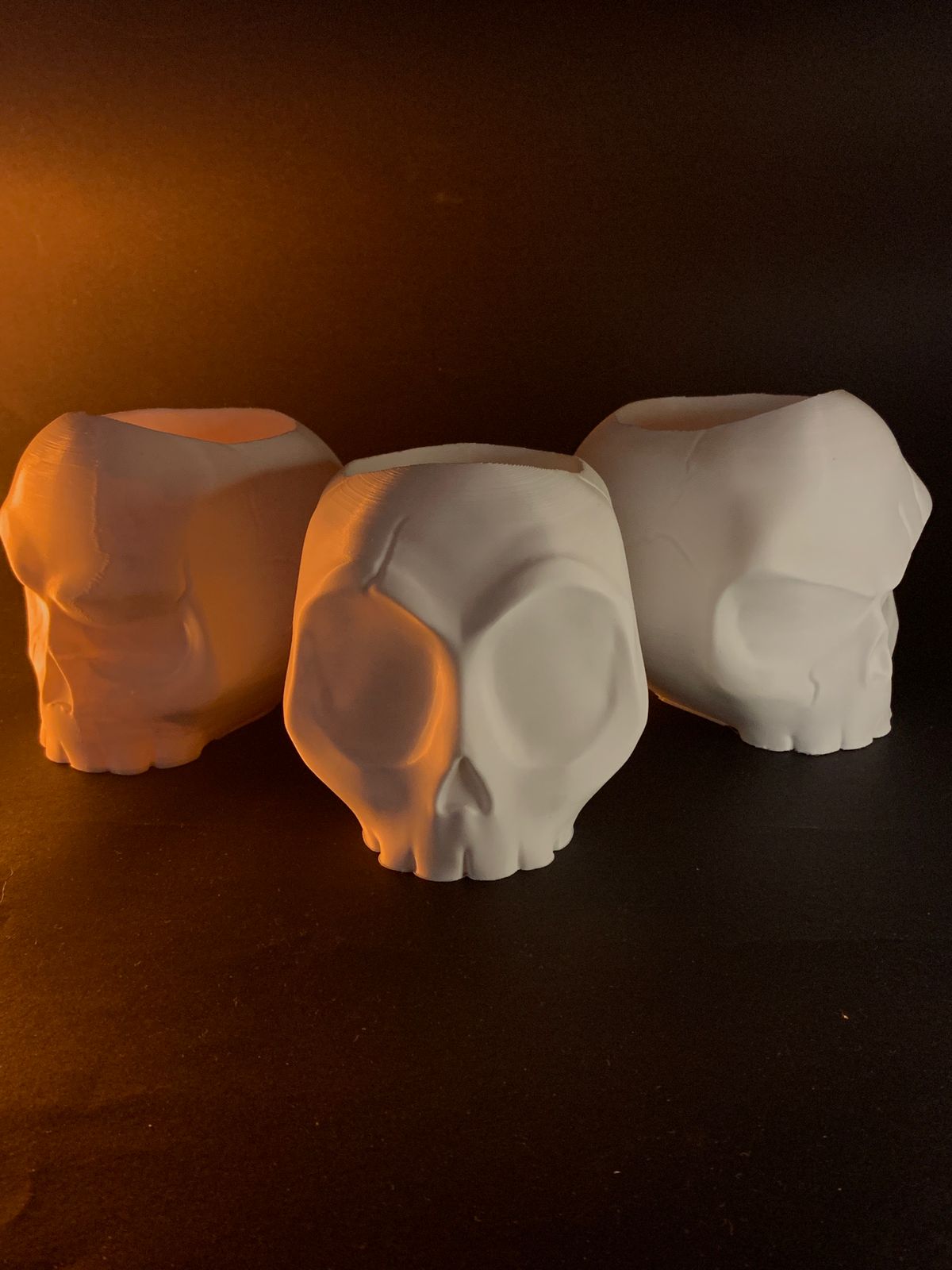 Cachepot Skull Vases - Image 2