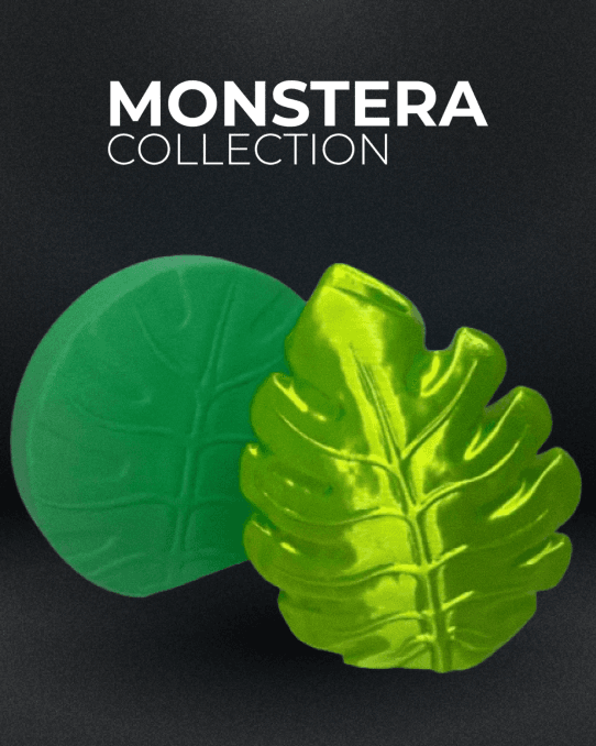 Monstera Collection