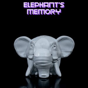 Elephant’s Memory