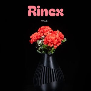 Vase - Rinex