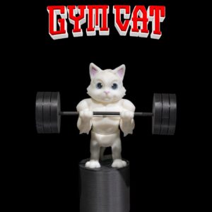 Gym Cat