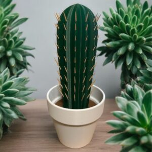 Cactus Toothpick Dispensers