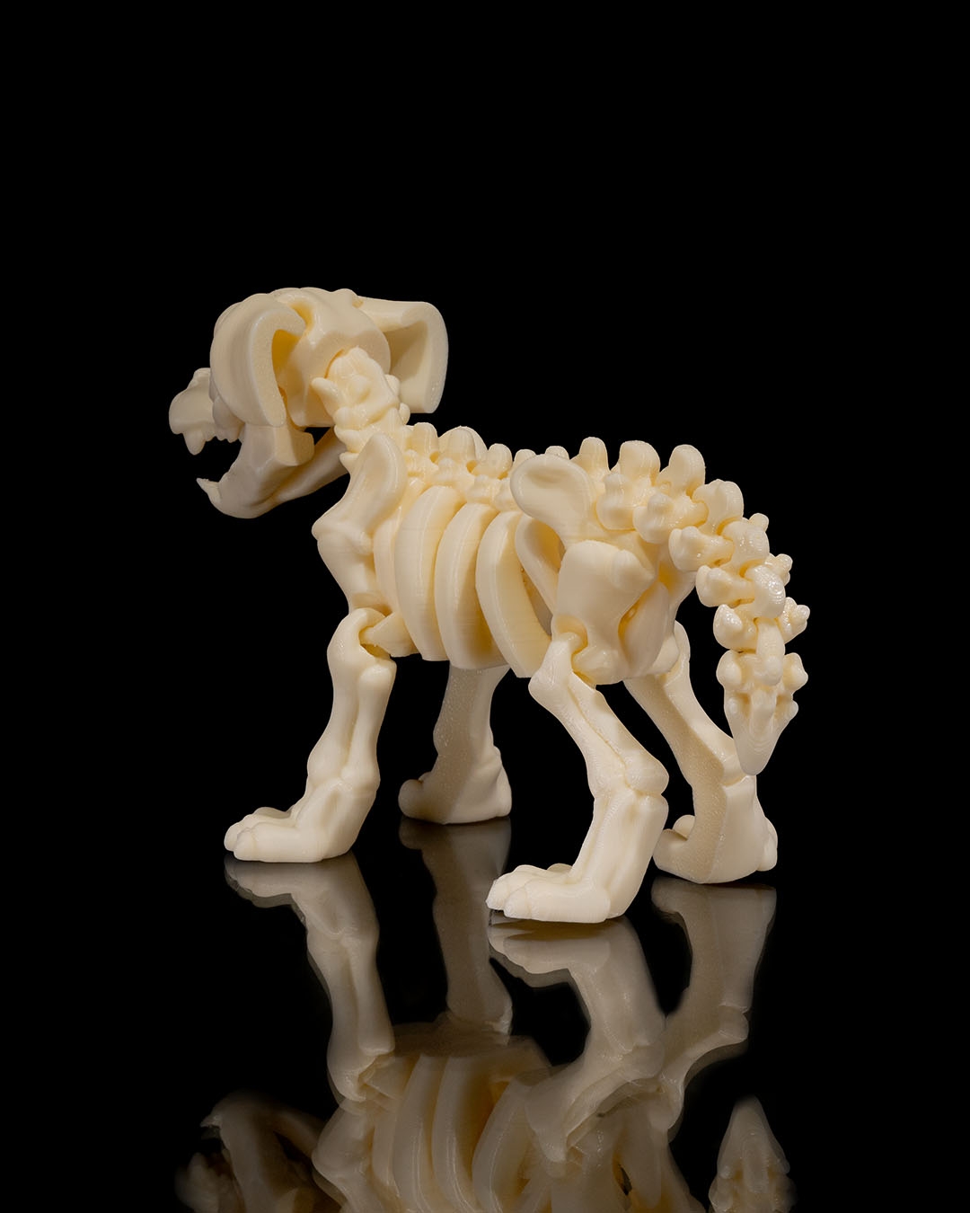 Skeleton Dog - Image 5