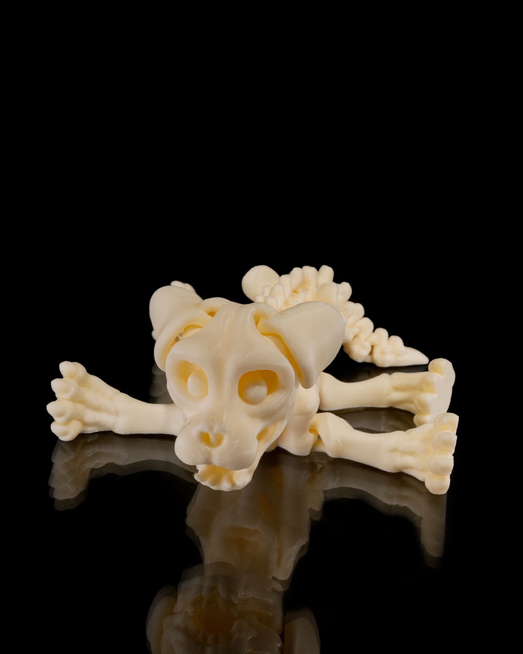 Skeleton Dog - Image 8
