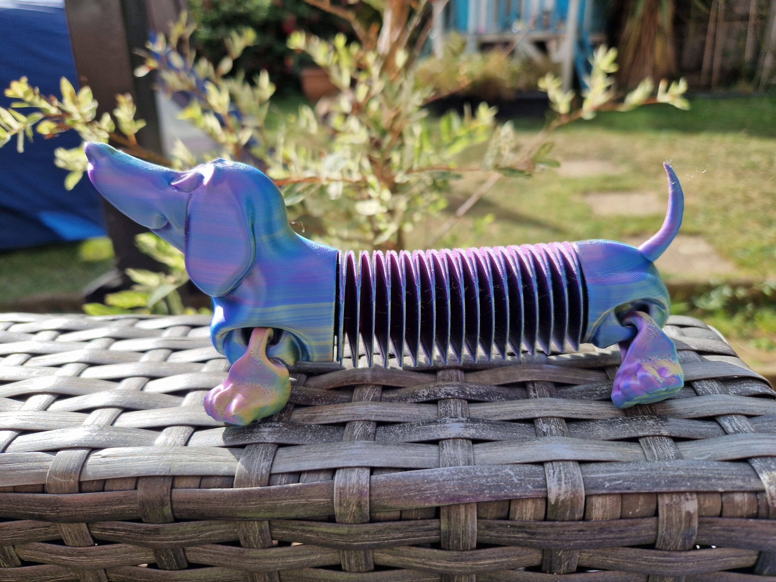 Slinky Dachshund
