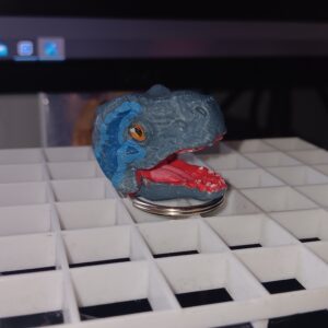 Hand painted raptor keychain