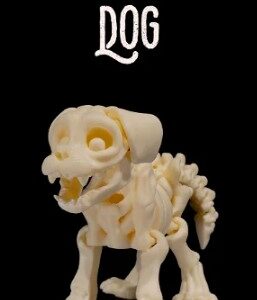 Skeleton Dog – Halloween Decoration
