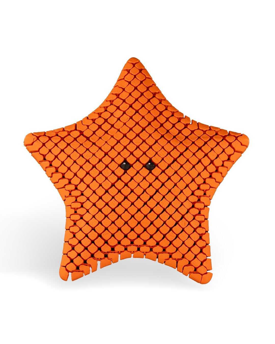 Betsie, the Bat Sea Star - Image 6