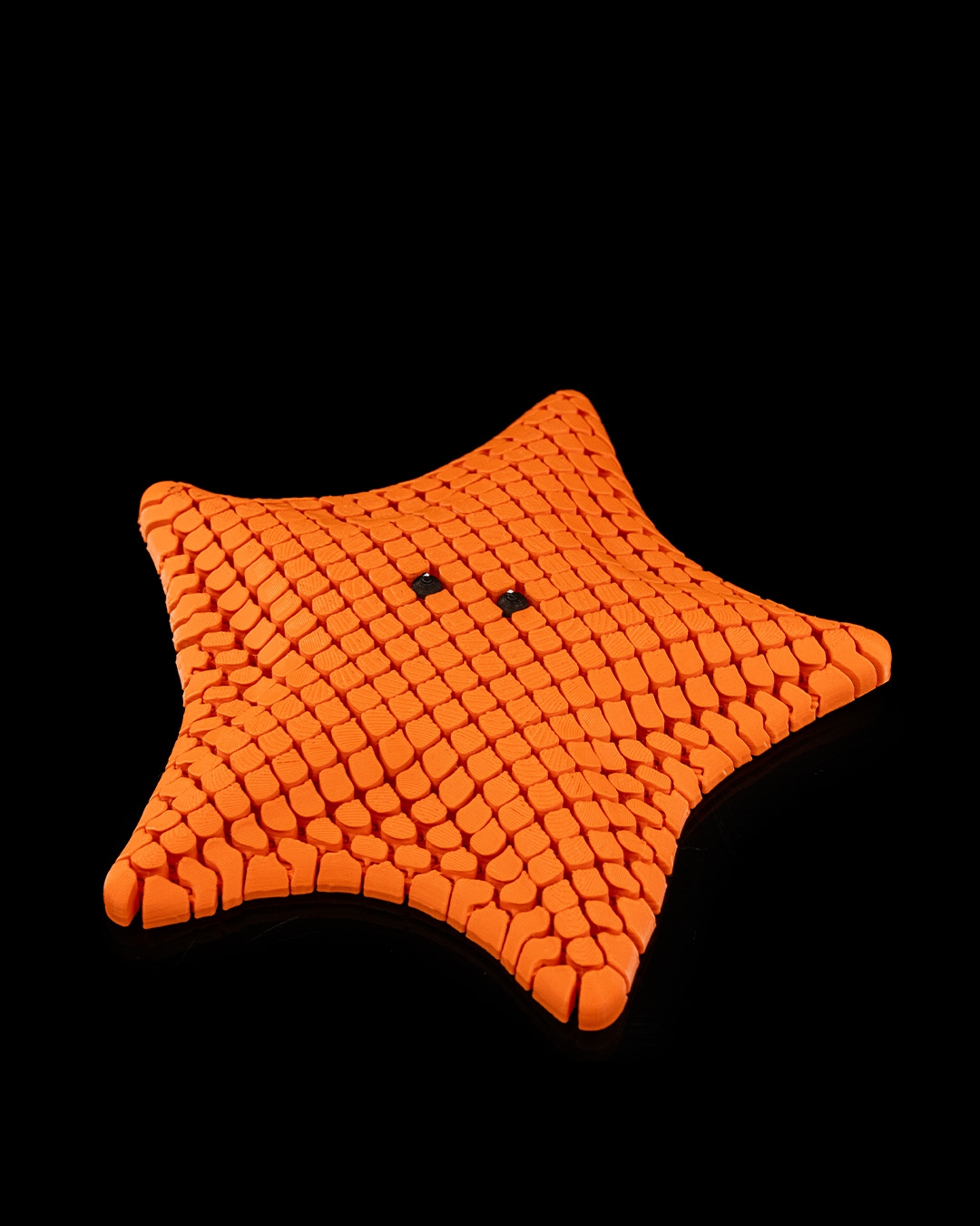 Betsie, the Bat Sea Star - Image 5