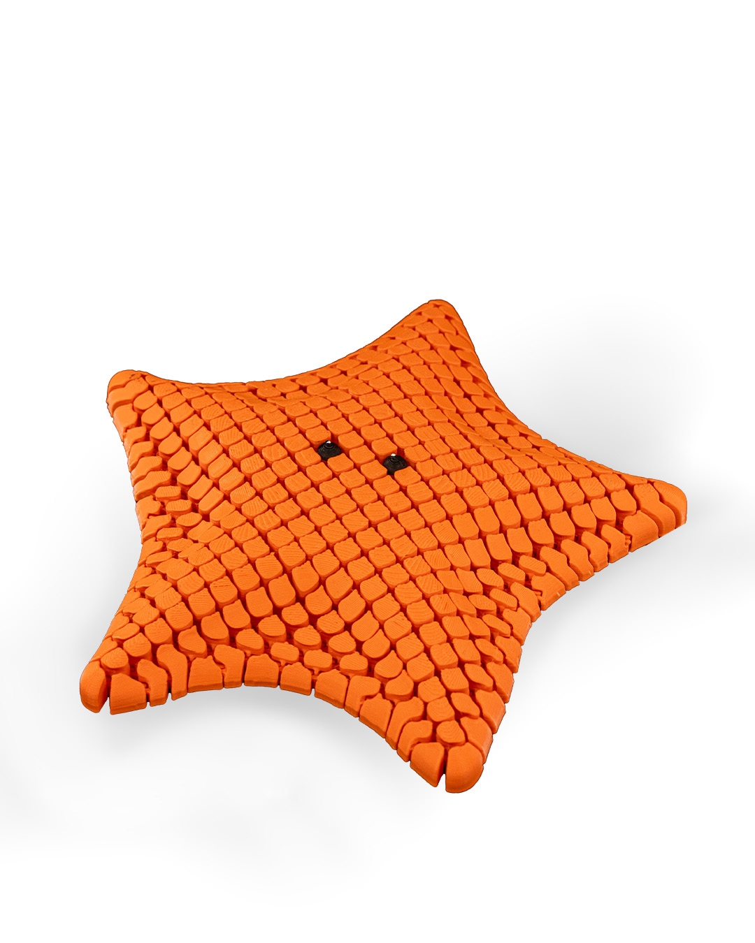 Betsie, the Bat Sea Star - Image 7