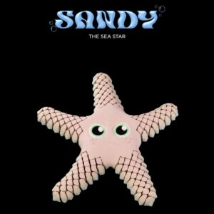Sandy, the Sea Star