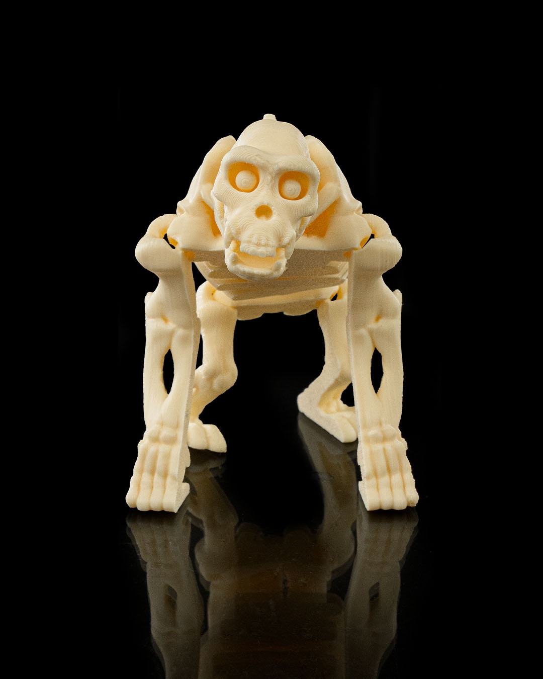 Skeleton Chimp - Image 2