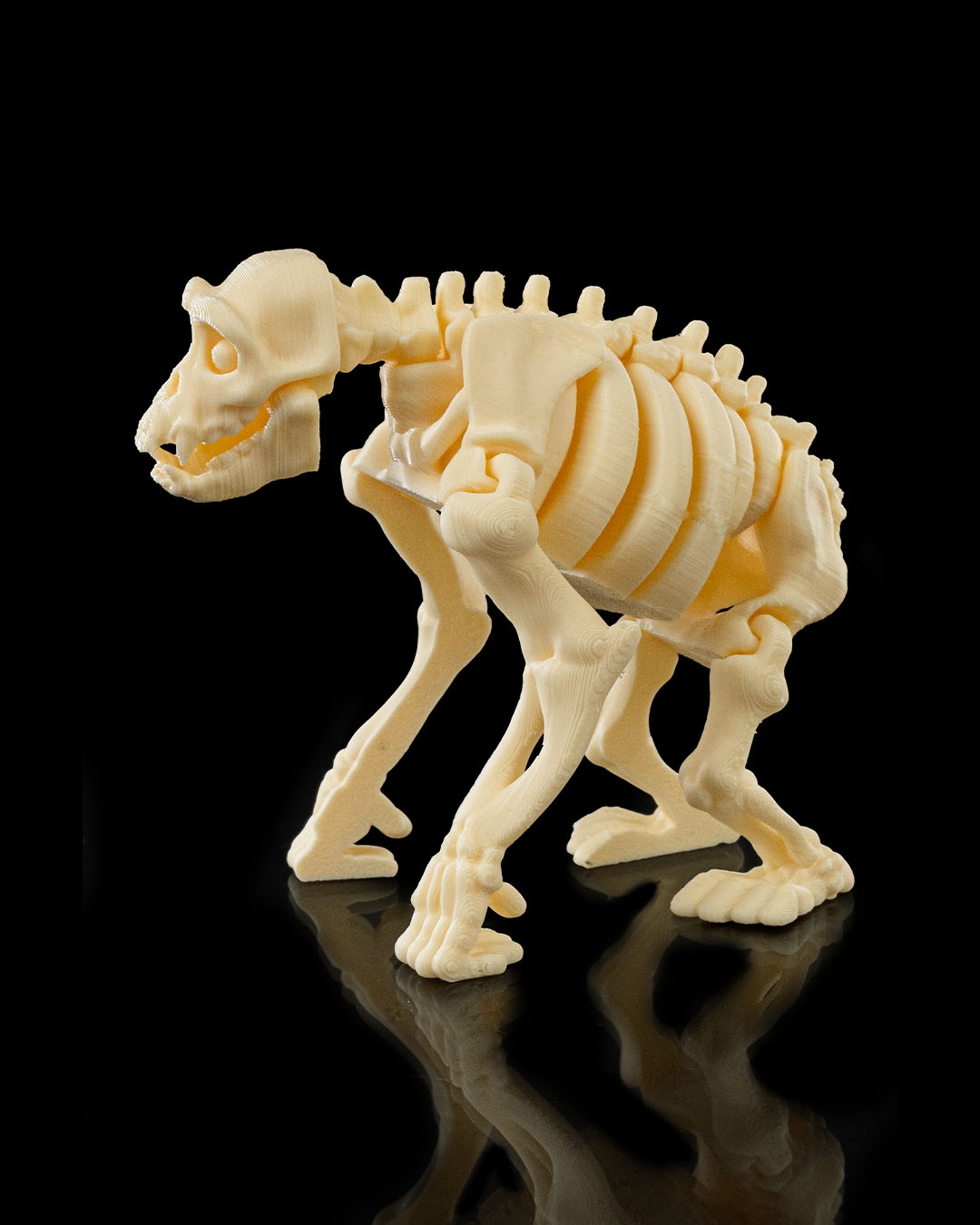 Skeleton Chimp - Image 3