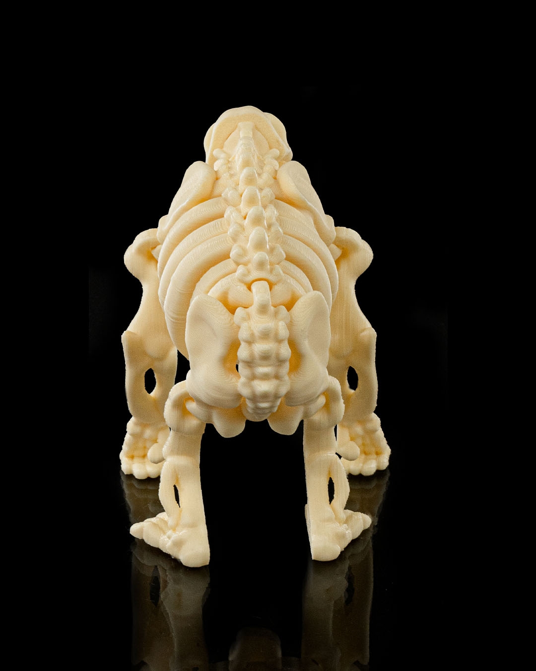 Skeleton Chimp - Image 4