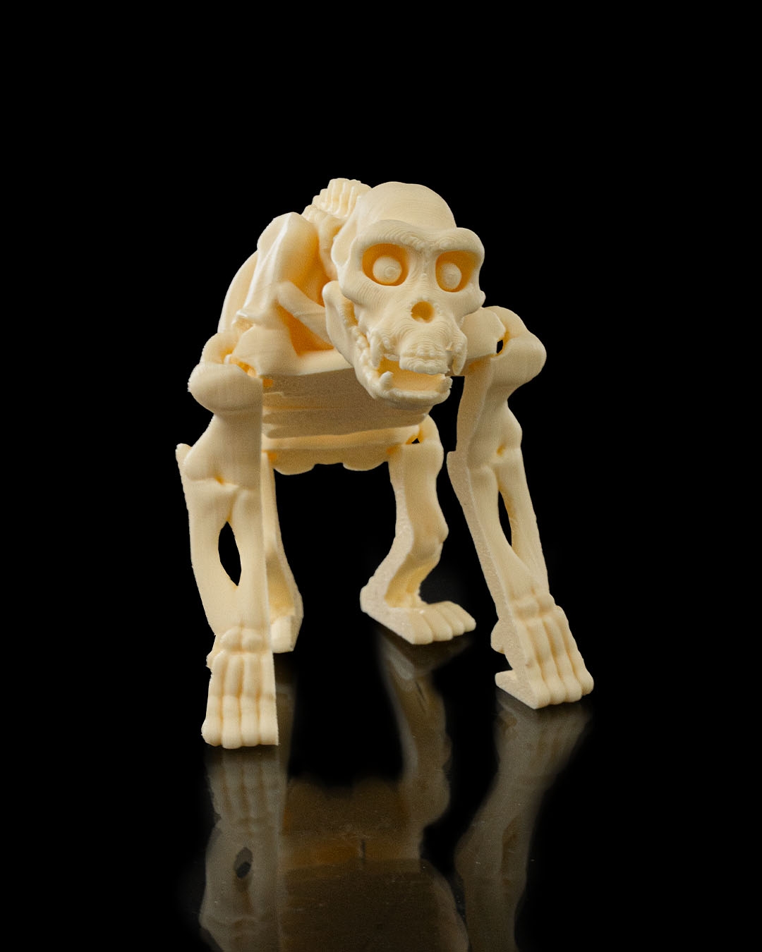 Skeleton Chimp - Image 6