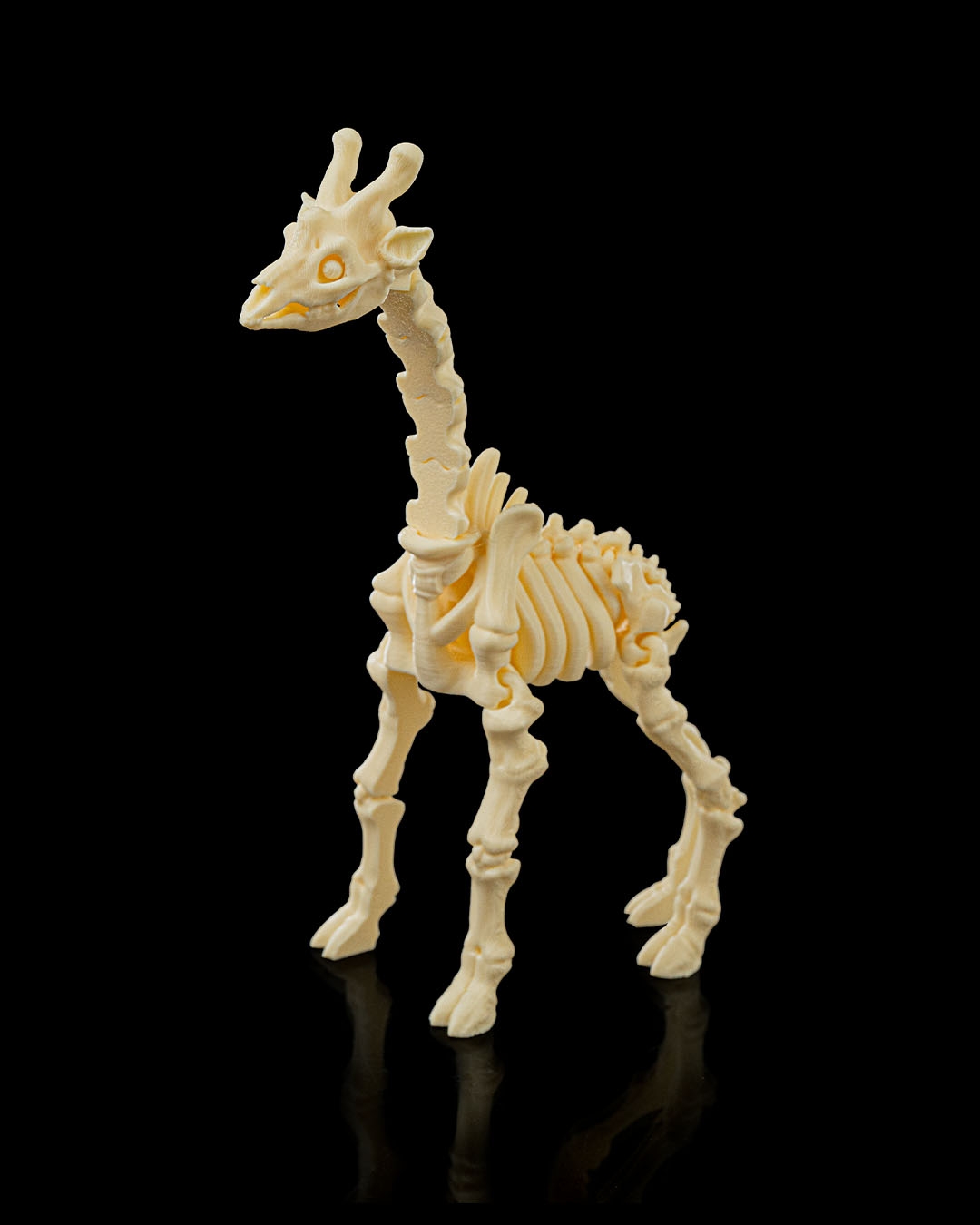 Skeleton Giraffe - Image 6