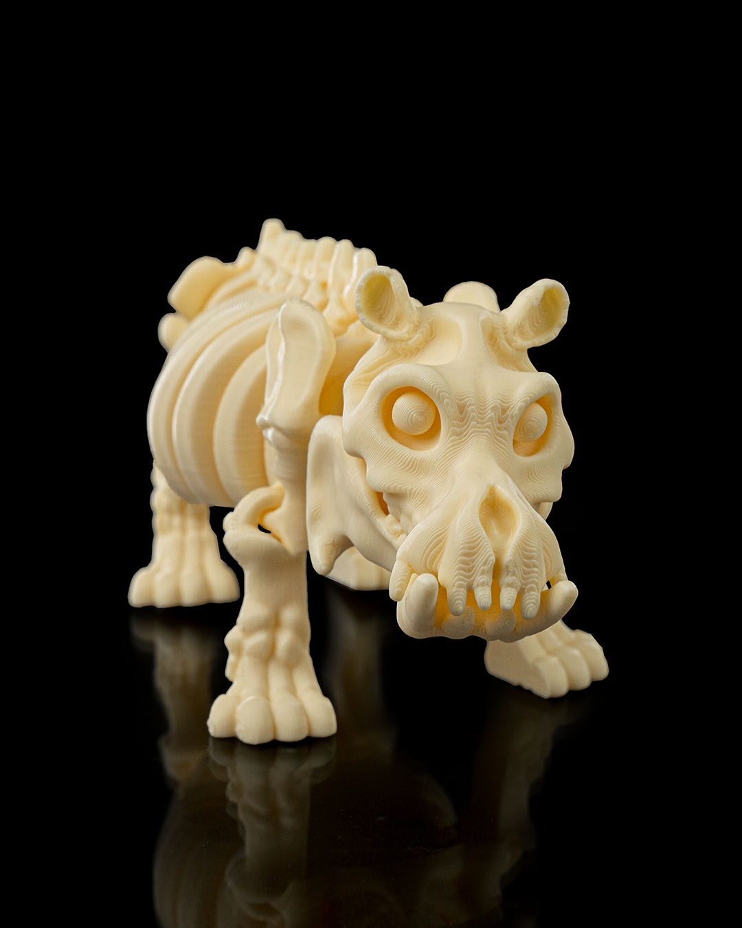 Skeleton Hippo - Image 2