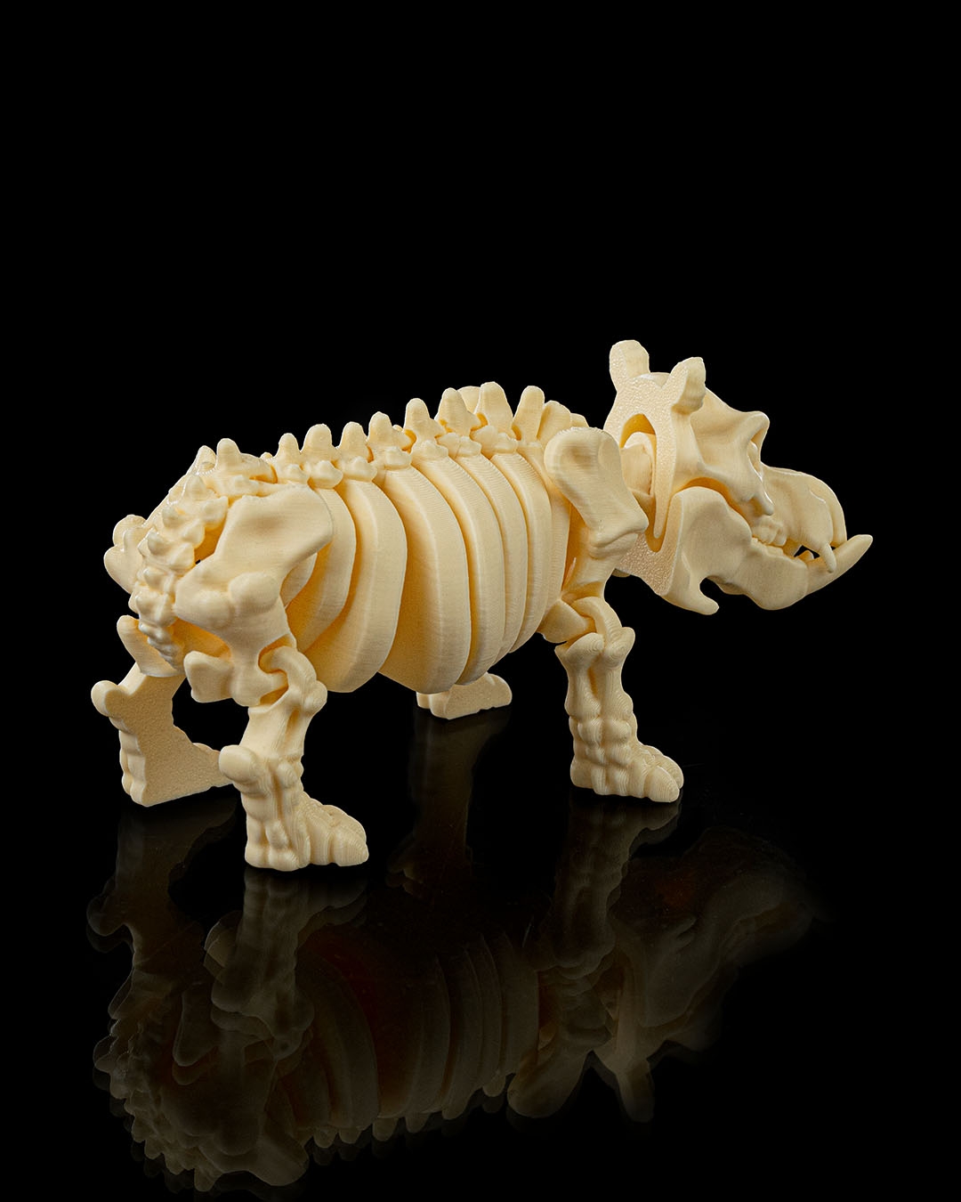 Skeleton Hippo - Image 3