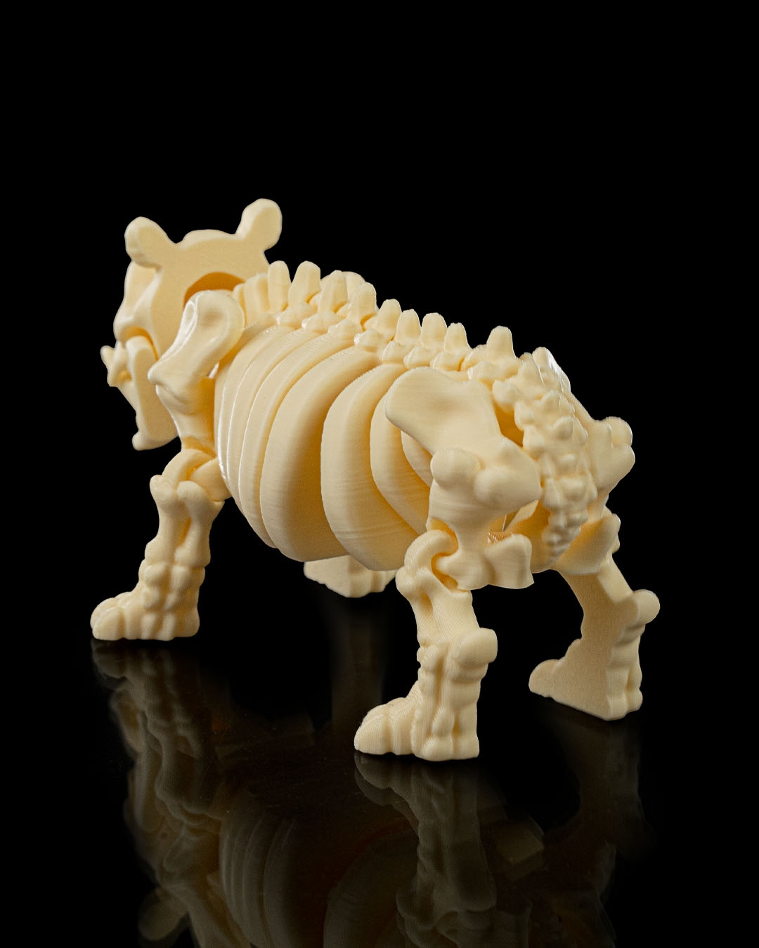 Skeleton Hippo - Image 4
