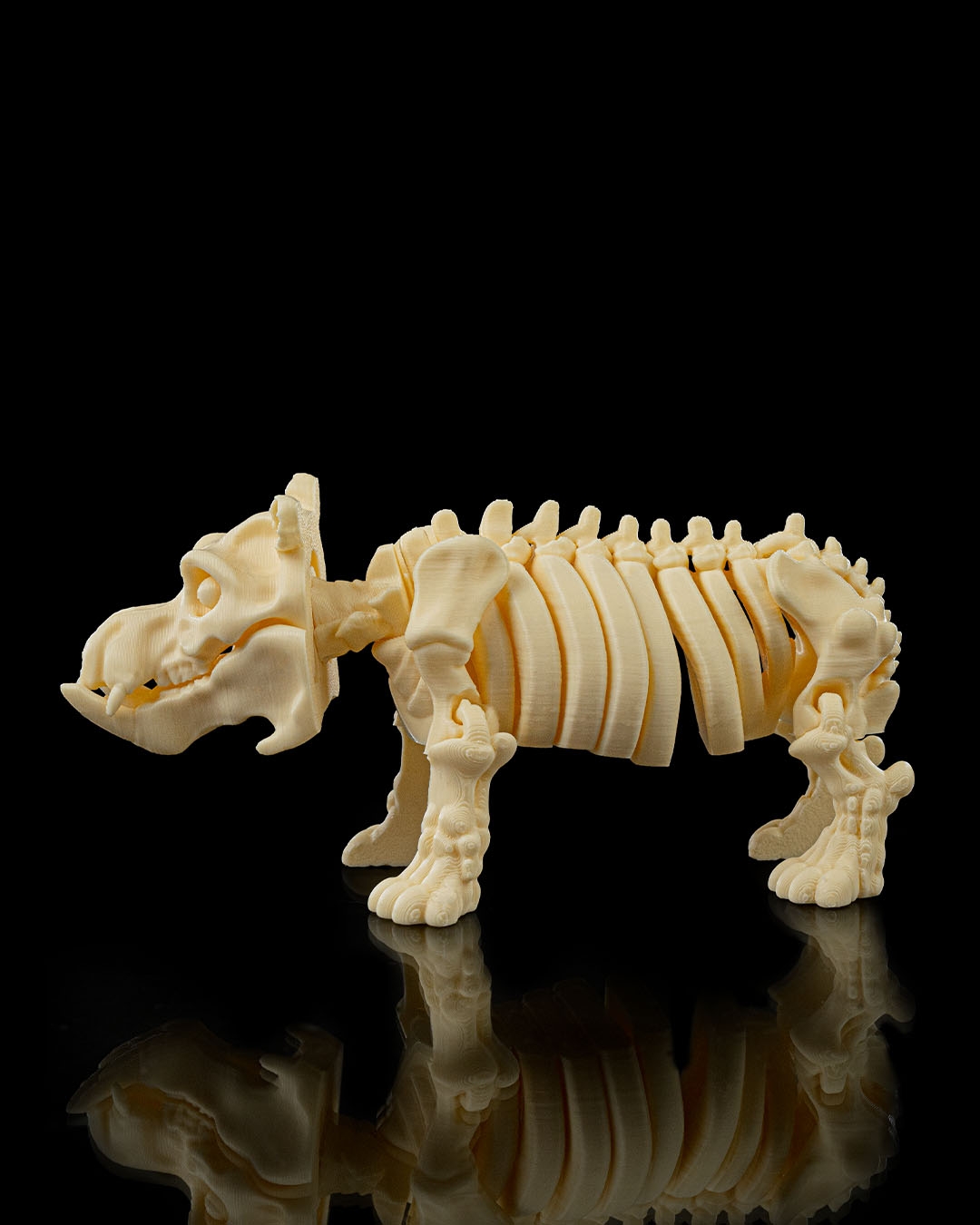 Skeleton Hippo - Image 5