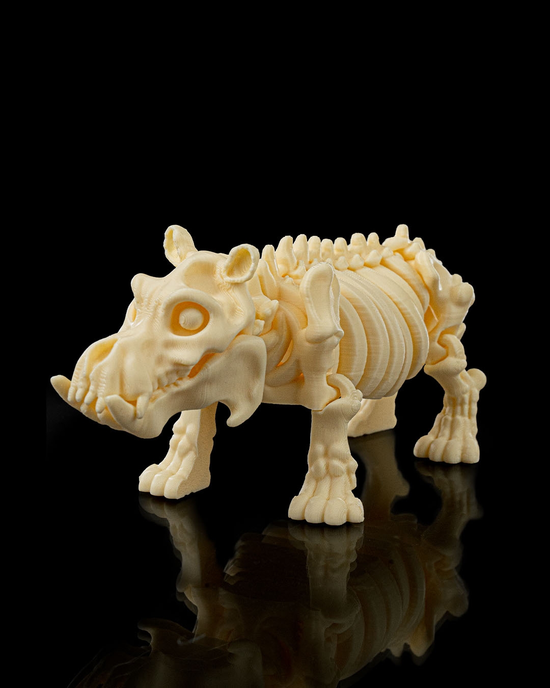 Skeleton Hippo - Image 6