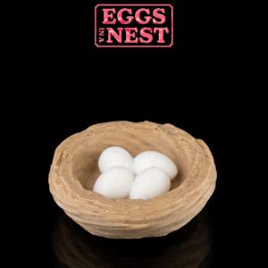 Eggs in a nest