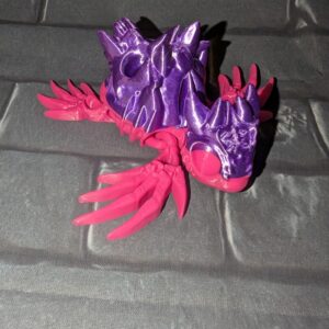 Charlotte the Skelly Turtle