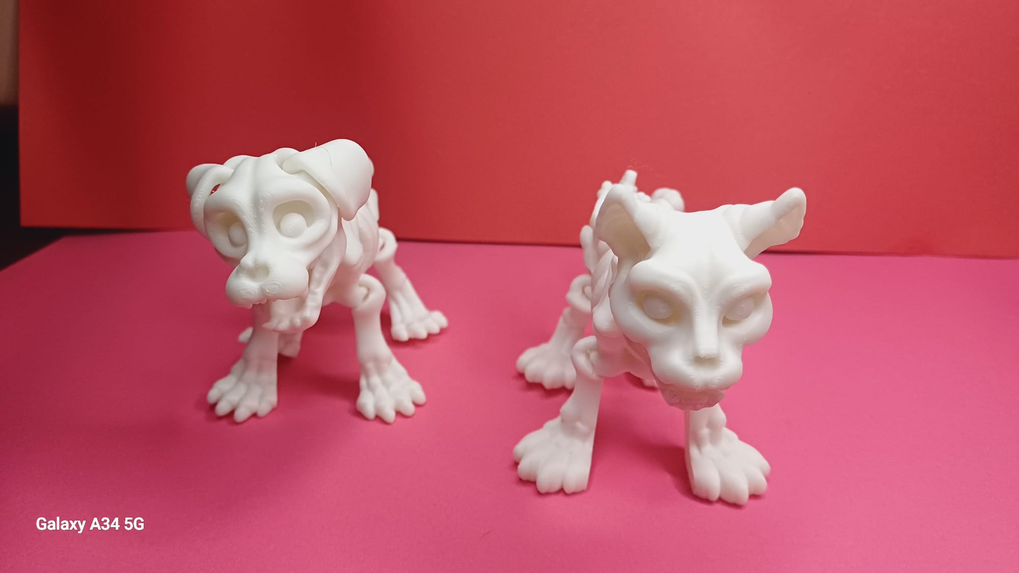 Bone Buddies: Skeleton Dog & Cat Duo - Image 3