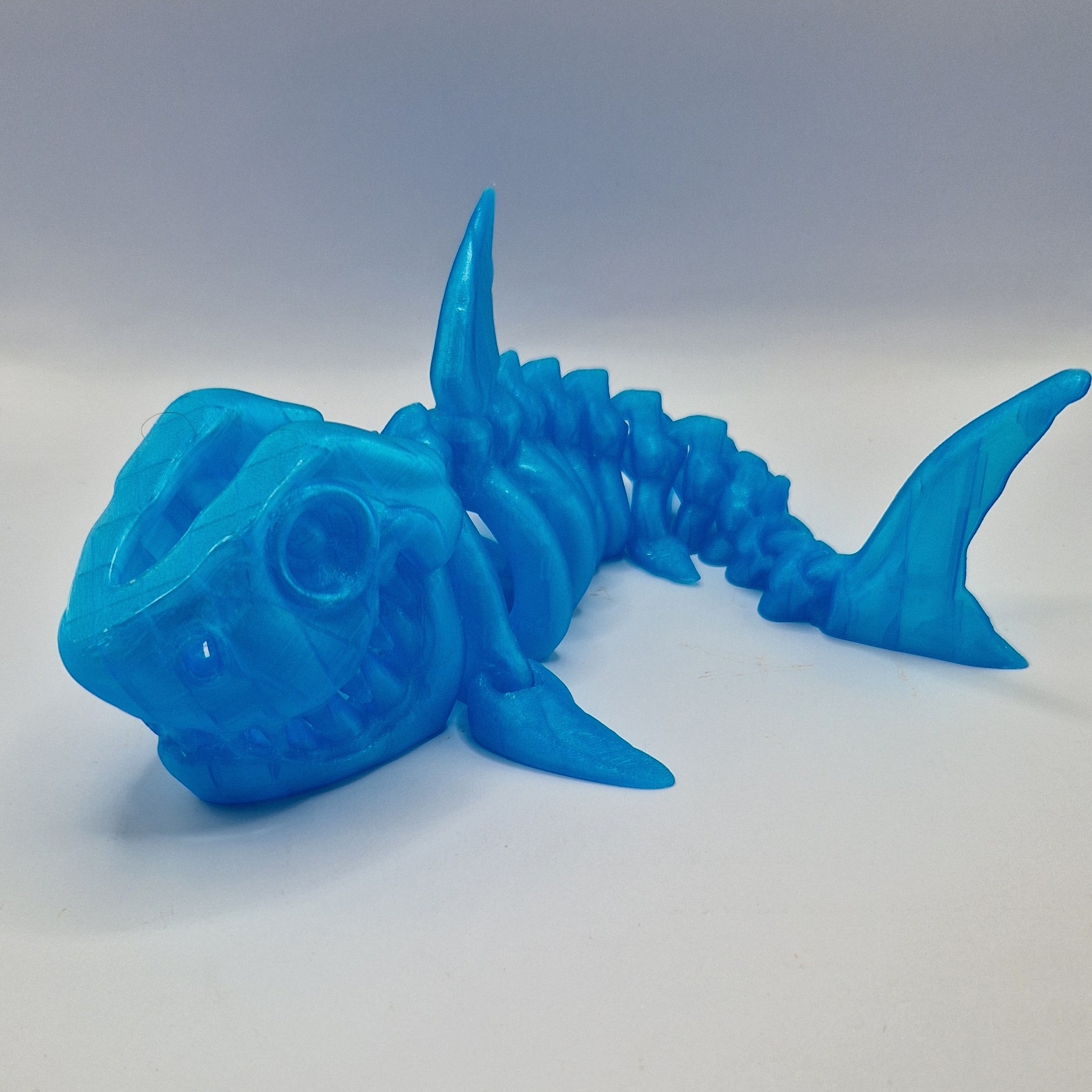 Shark Skeleton - Image 2