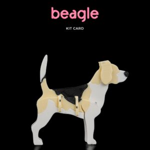 Beagle