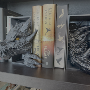 Dragon Book Nook