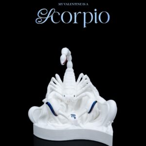 My valentine is a Scorpio