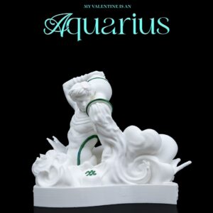 My valentine is an Aquarius
