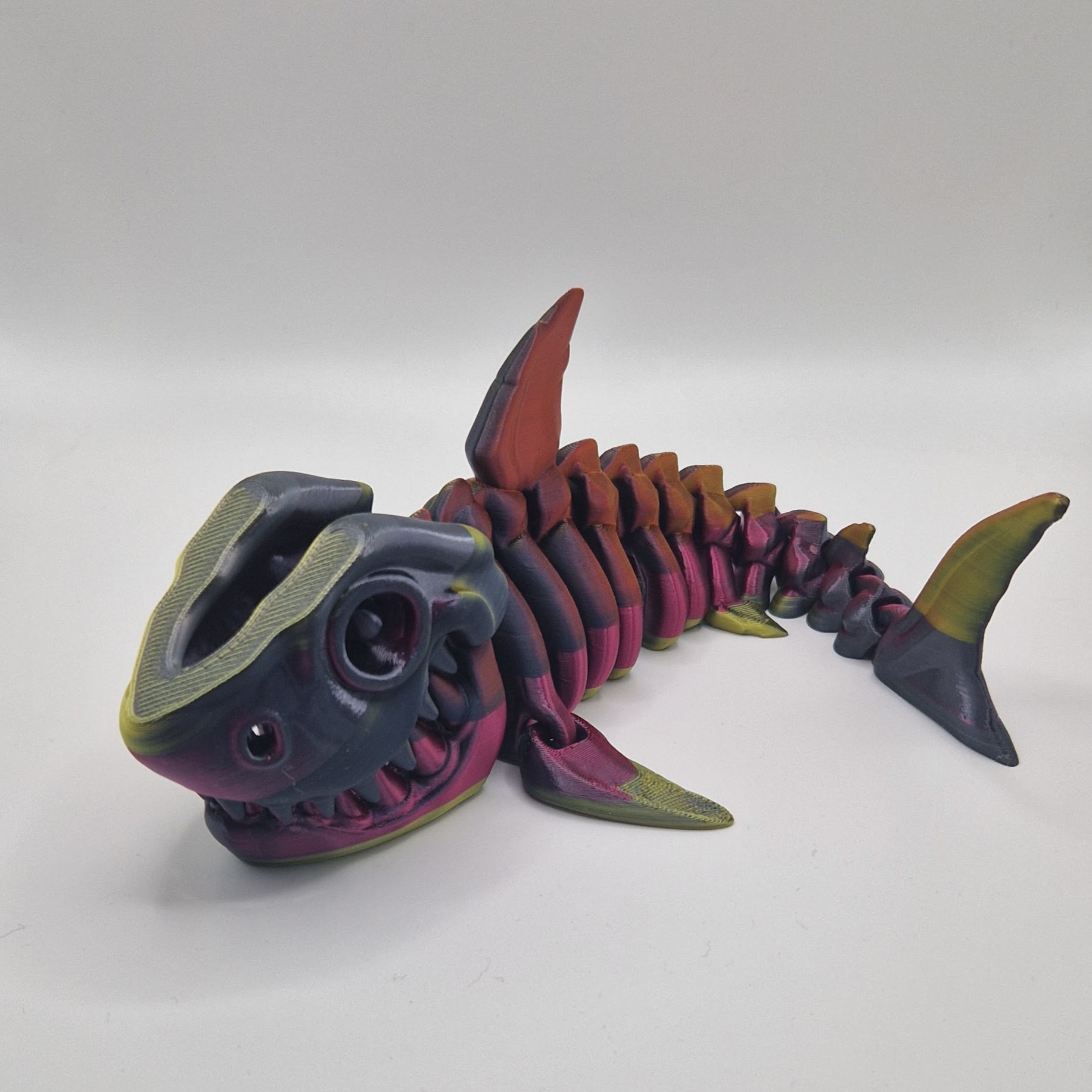 Shark Skeleton - Image 3