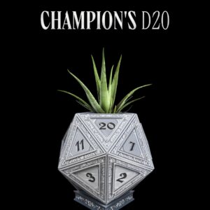 D20 del campeón - Maceta de dado