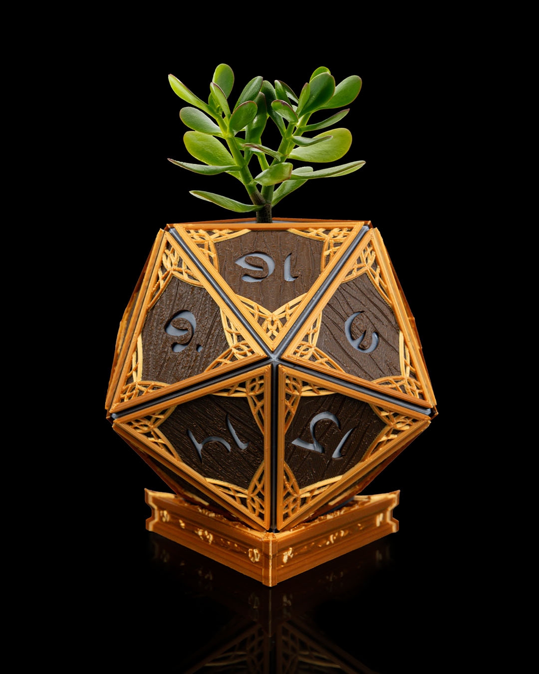 D20 élfico - Maceta de dado - Image 2