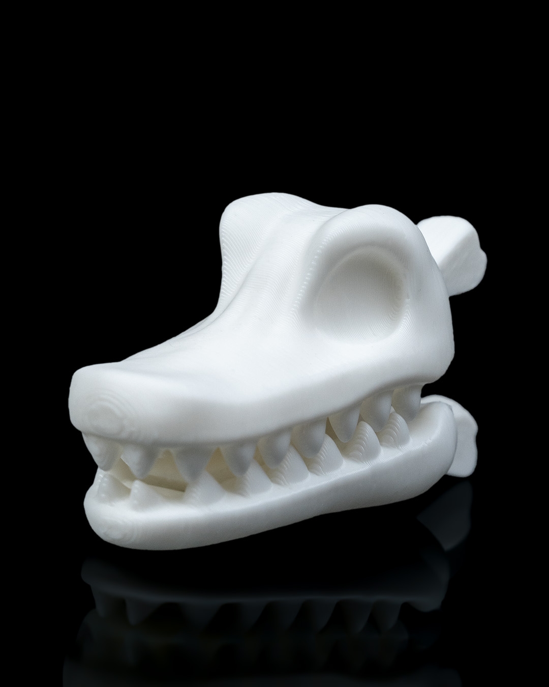 Prendedor de jacaré - Image 2