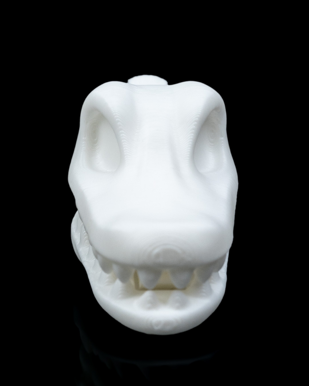 Prendedor de jacaré - Image 4