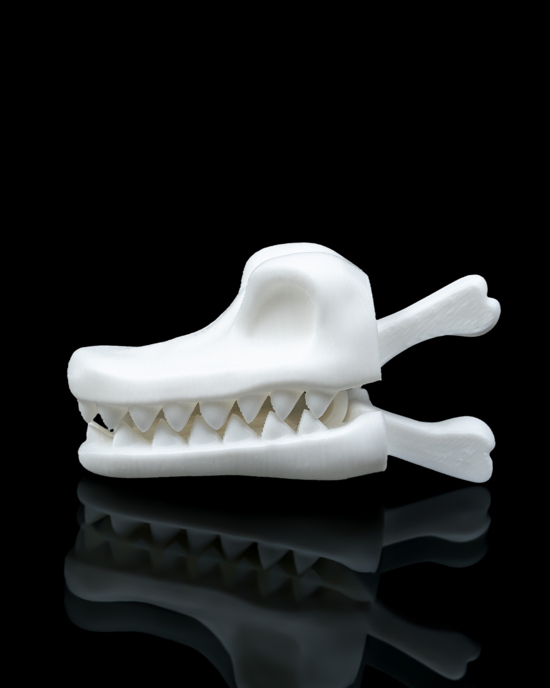 Prendedor de jacaré - Image 5