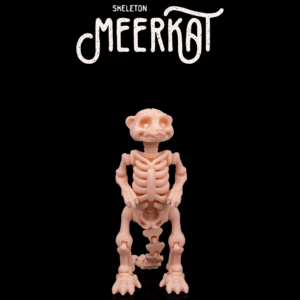 Skeleton Meerkat