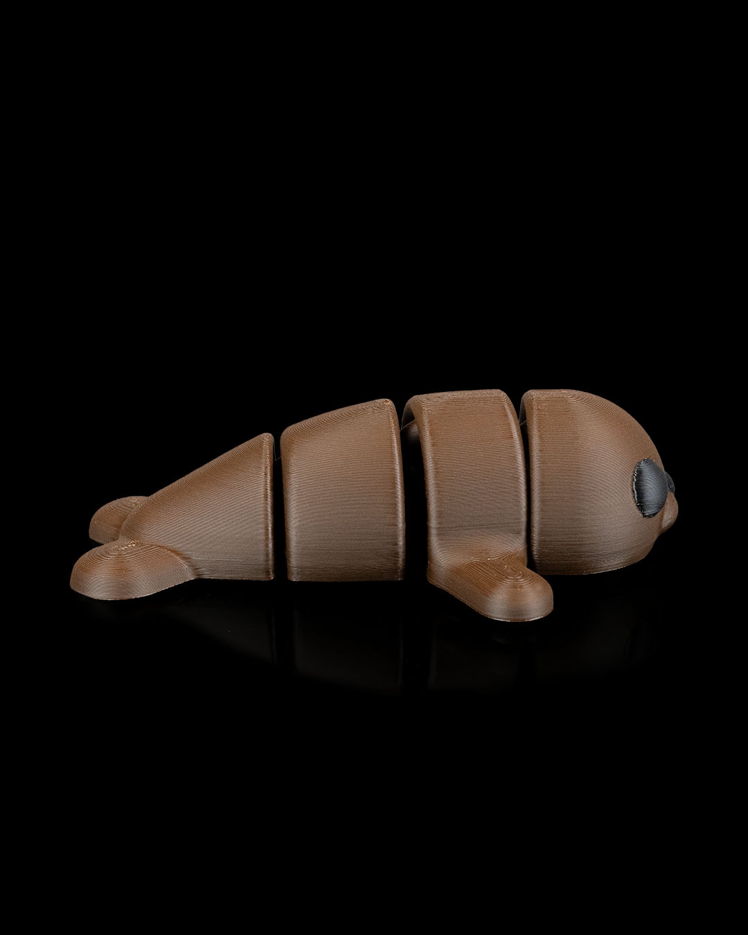 Seal in Ocean Rest - Image 5